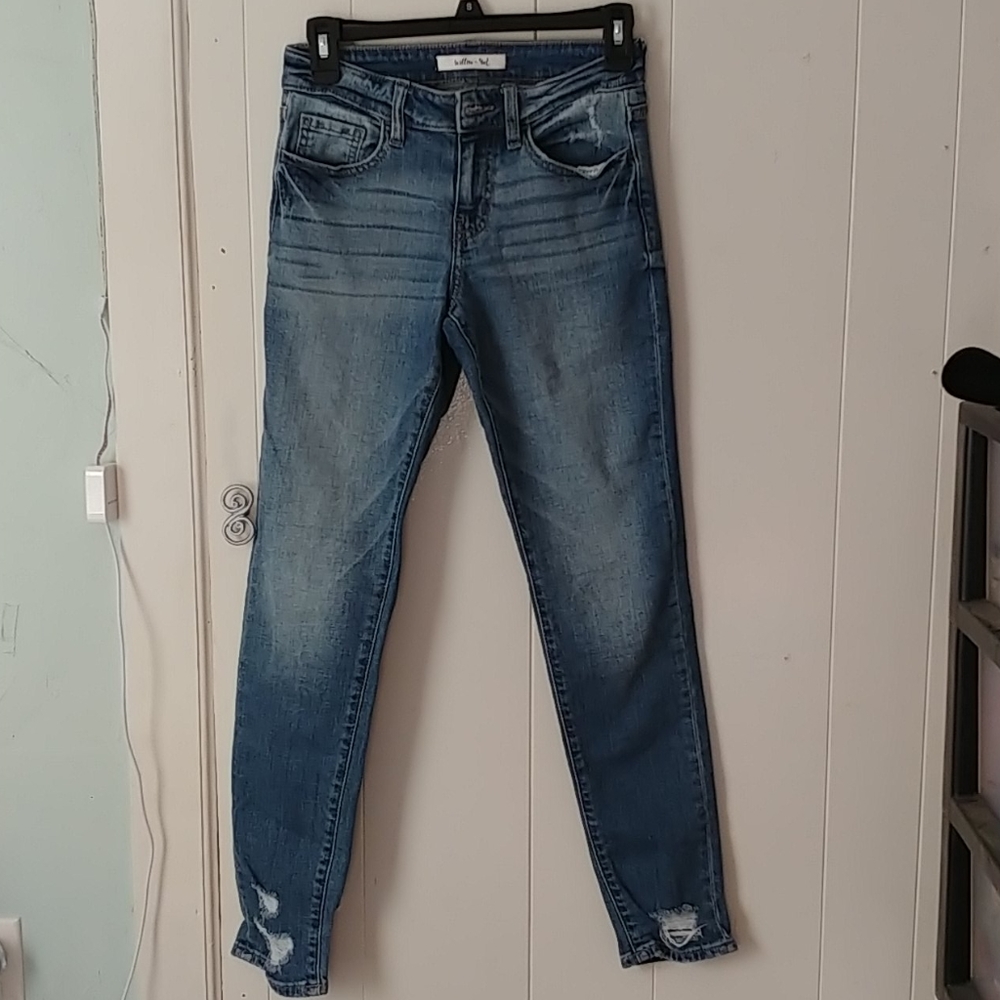 Willow and Root Ankle Skinny Jean